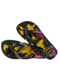 4622 Conserva?o Internacional